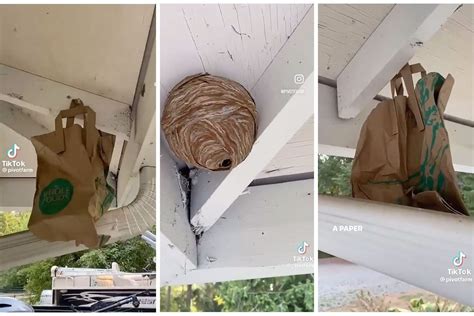 fake paper bag|paper bag wasp tricks.